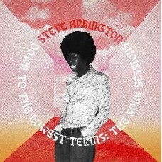 Arrington Steve : Down To The Lowest Terms-The Soul Sess (Vinyl) (Funk and Soul)