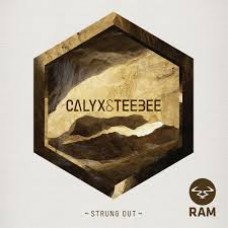 Calyx and Teebee : Strung Out (12 Vinyl) (Drum and Bass)"